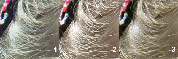 Demosaicing artifacts on fine detail