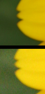 Comparison of a low-gain and high-gain image crop